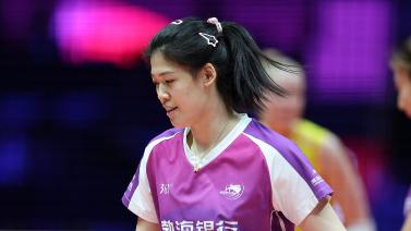 近乎完美的 近乎完美的