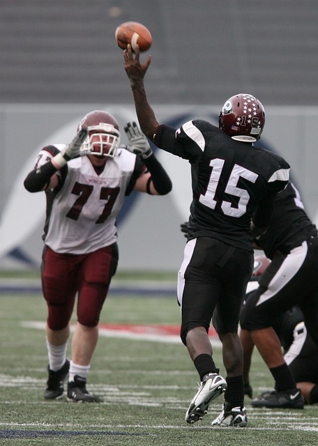 美味佳肴 美味佳肴