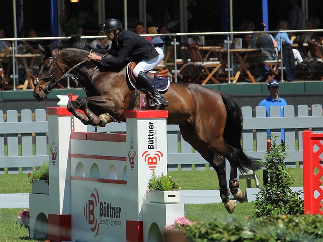 的必备条件 的必备条件