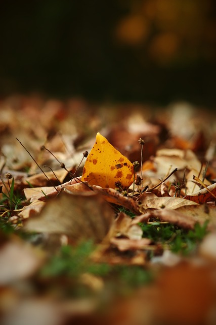 需要保持当 需要保持当