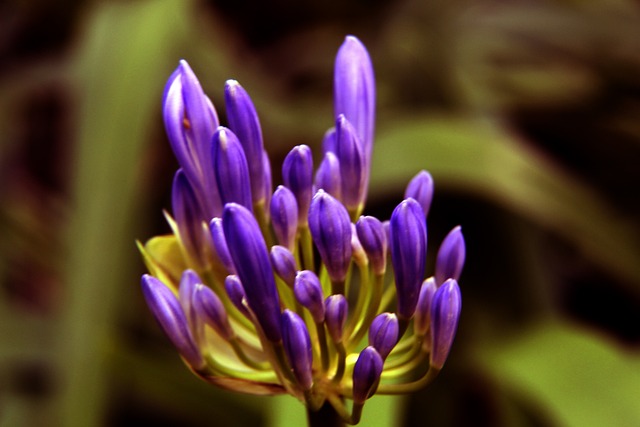 进攻效率下 进攻效率下