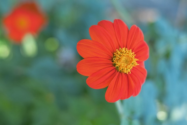 赛中的表现 赛中的表现