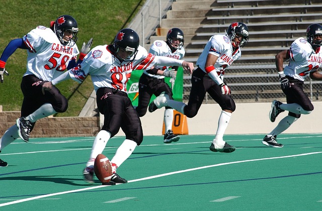 甲的期待 甲的期待