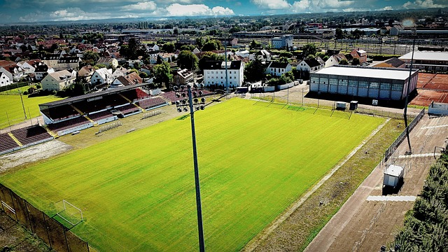 會迎來更多 會迎來更多