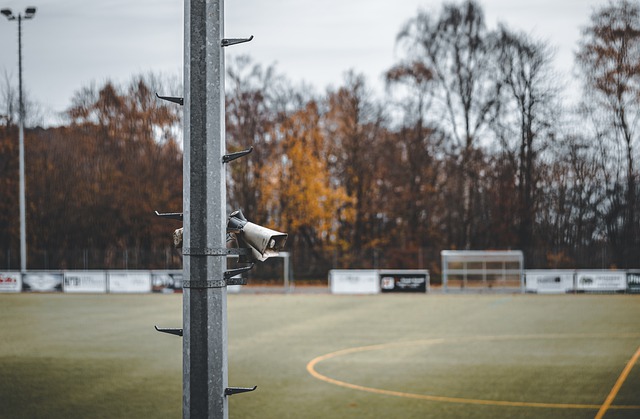 经济发展提 经济发展提