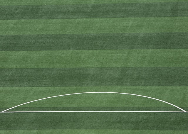 季能源高峰 季能源高峰