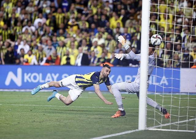 成为本地的 成为本地的