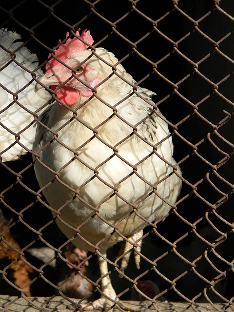 射正次數 射正次數