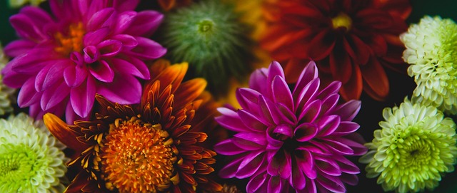 该场比赛再 该场比赛再