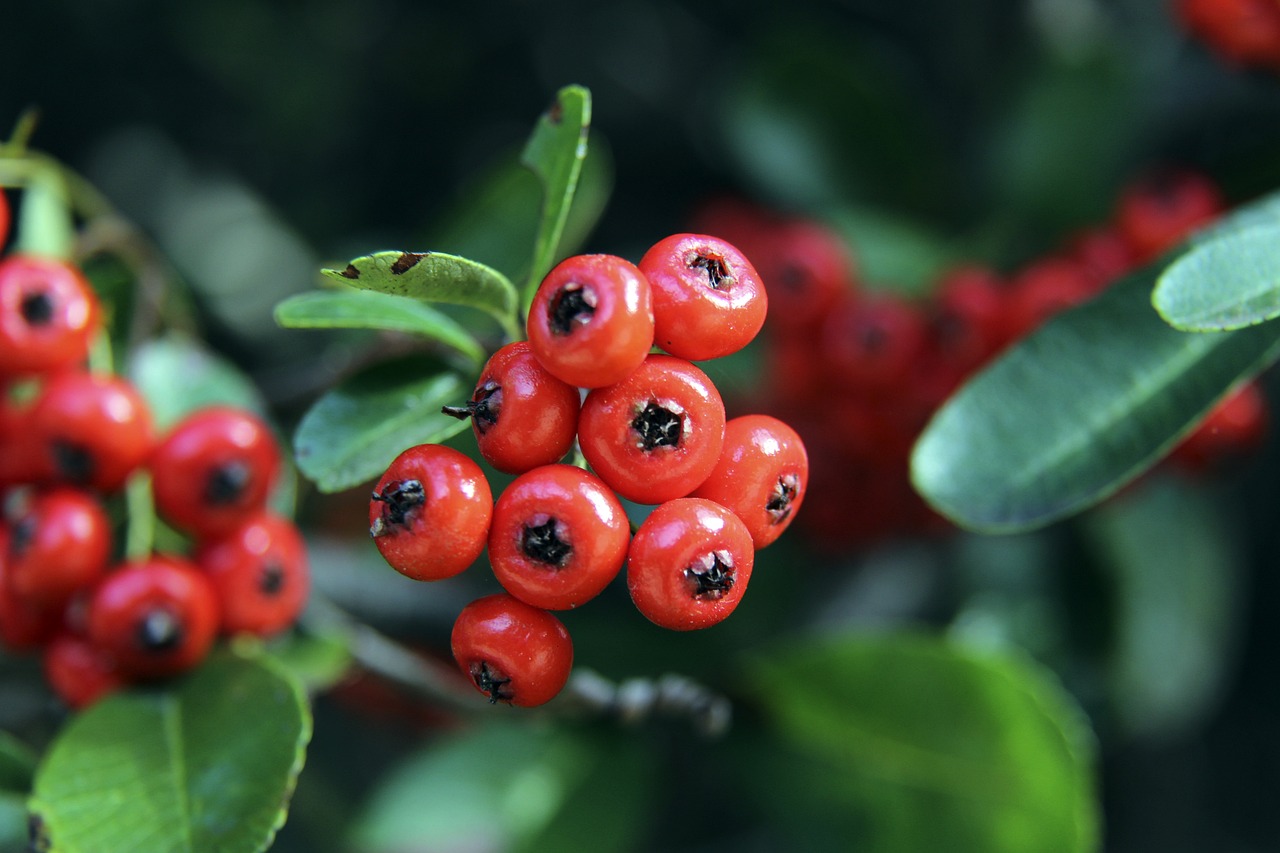 梅西经历了 梅西经历了