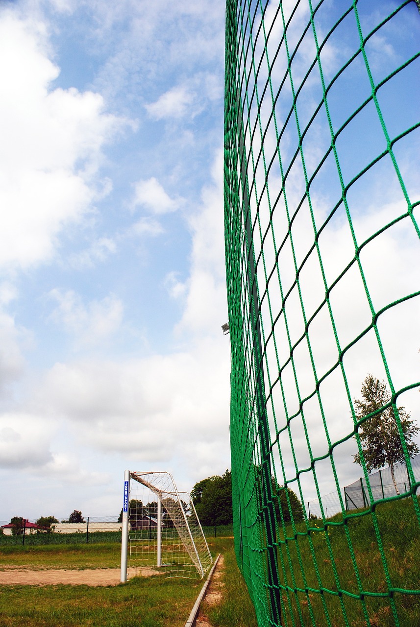 状态的球员 状态的球员