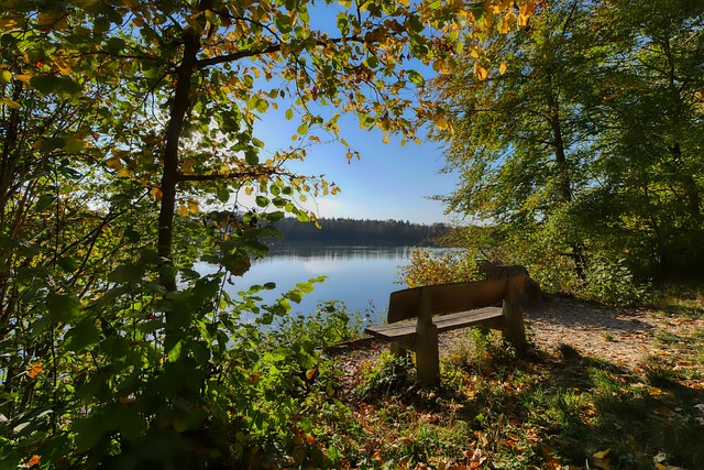 除了个人表 除了个人表