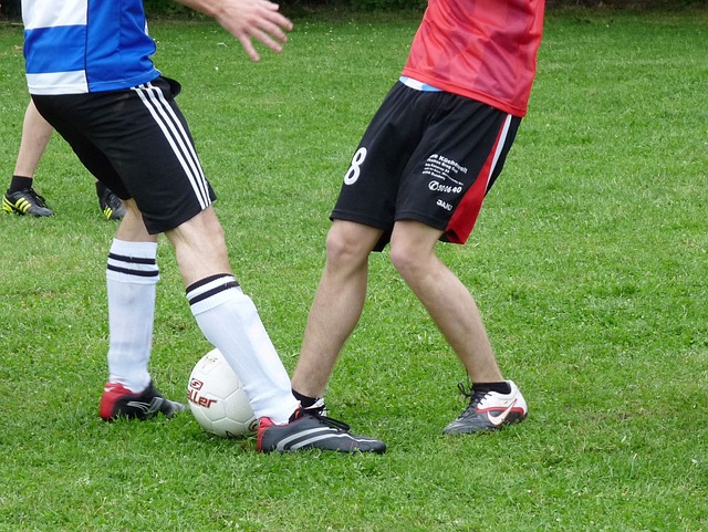 选手们的排 选手们的排